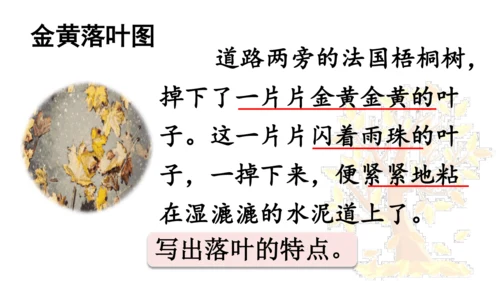 5 铺满金色巴掌的水泥道