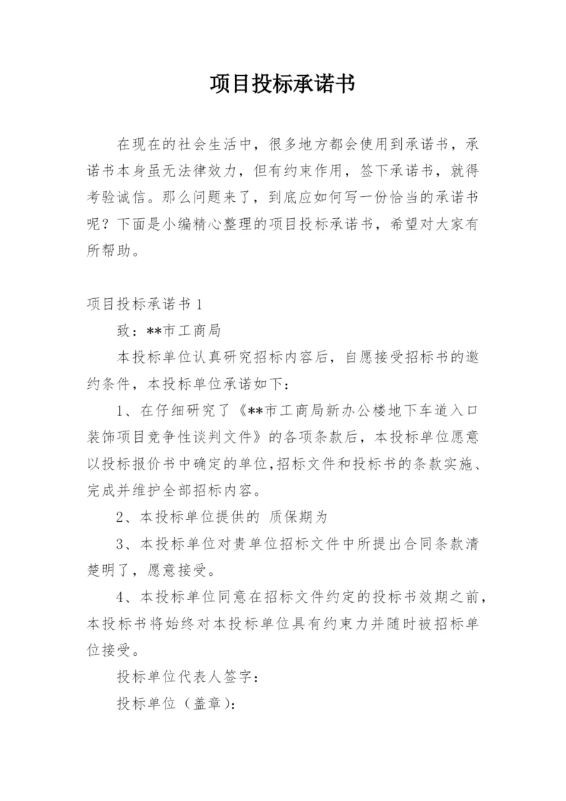 项目投标承诺书.docx