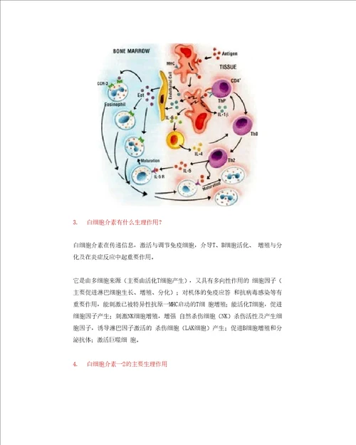 辅助性T细胞的种类和作用