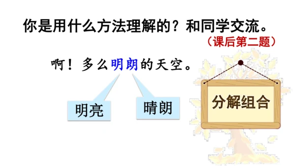 5 铺满金色巴掌的水泥道