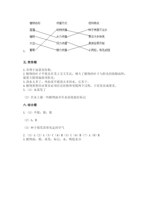 教科版四年级下册科学第一单元《植物的生长变化》测试卷（综合卷）.docx