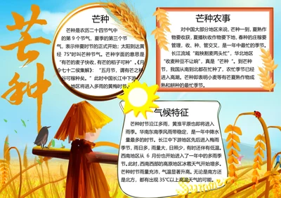 芒种节气word小报