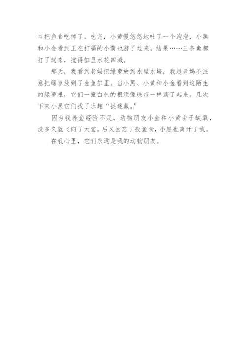 我的动物朋友四年级满分作文5篇.docx