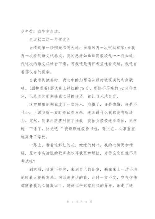 走过初二这一年作文5篇.docx
