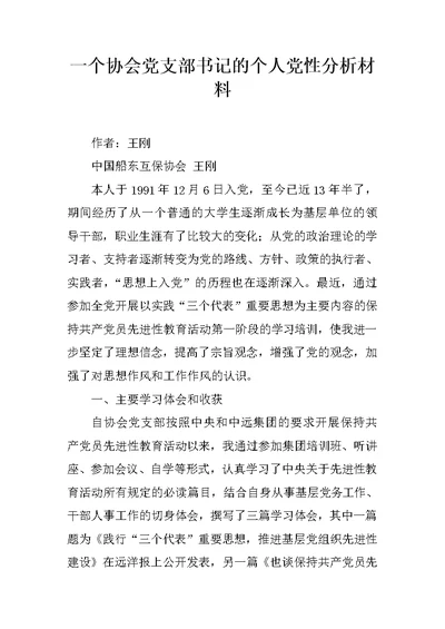 一个协会党支部书记的个人党性分析材料