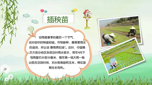 绿色小清新谷雨节气专题教学PPT课件