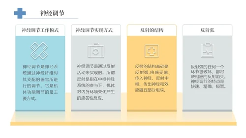 实拍风宠物解剖生理宠物解剖生理讲座PPT