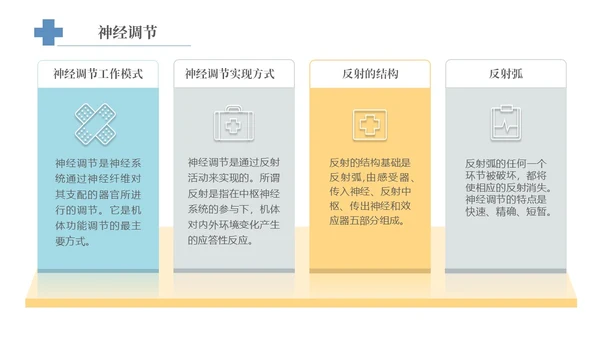 实拍风宠物解剖生理宠物解剖生理讲座PPT