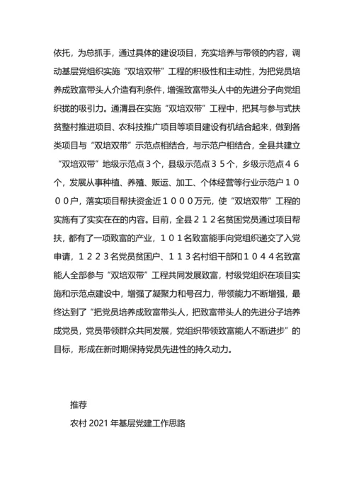 农村党建工作思路.docx