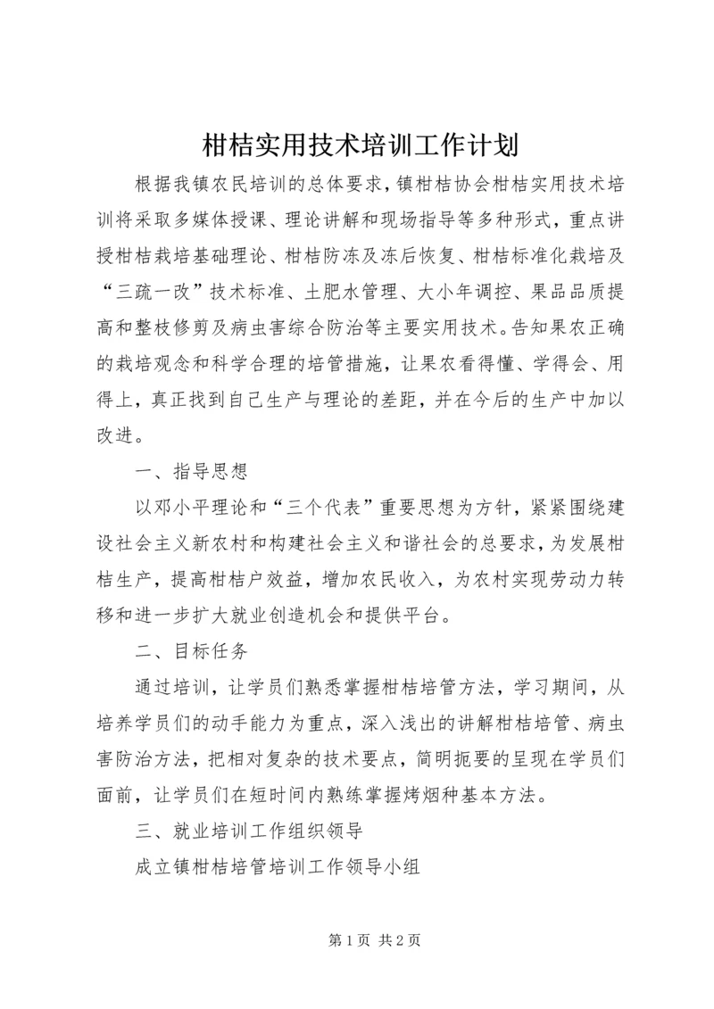 柑桔实用技术培训工作计划.docx