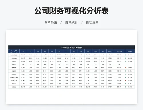 公司财务可视化分析表
