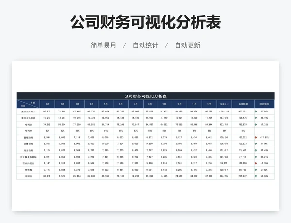 公司财务可视化分析表