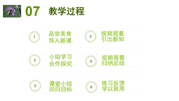 2.2.3植物体的结构层次 【说课课件】2023--2024学年人教版生物七年级上册(共42张PPT