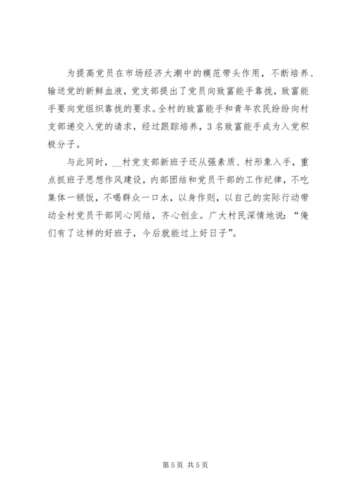 村党支部典型事迹材料.docx