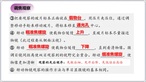 1.1&1.2 认识生物和细胞（复习课件）【2024人教新版七上生物高效完全备课】(共44张PPT)