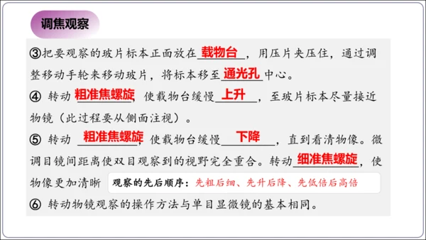 1.1&1.2 认识生物和细胞（复习课件）【2024人教新版七上生物高效完全备课】(共44张PPT)