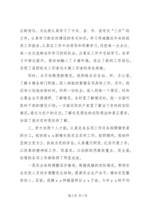 乡镇干部个人挂职锻炼工作总结.docx