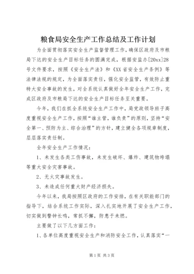 粮食局安全生产工作总结及工作计划 (2).docx