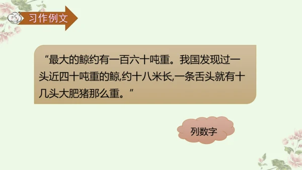 第五单元习作例文鲸