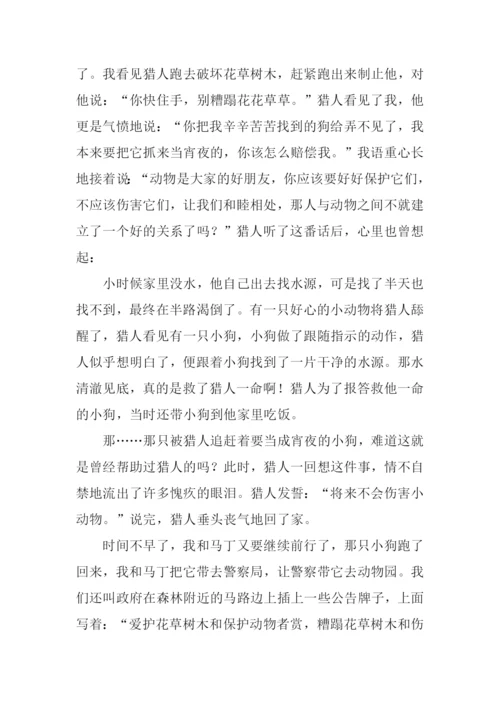 假如我有一只尼尔斯的鹅作文400字-1.docx