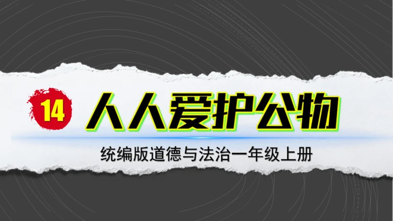 （2024）统编版道德与法治一年级上册（14）人人爱公物 课件