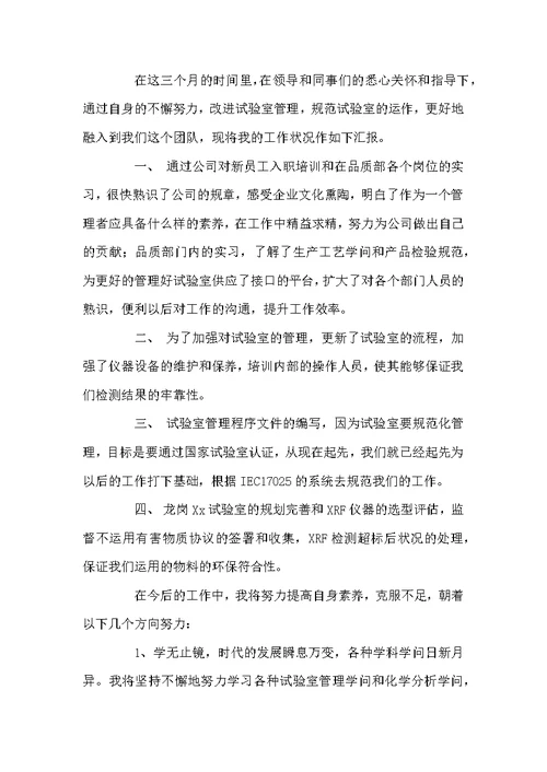 好用的试用期个人工作总结四篇