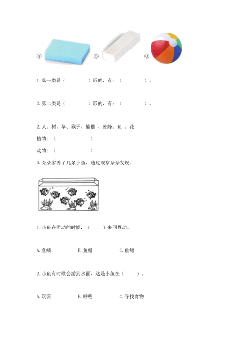 教科版一年级下册科学期末测试卷含答案【新】.docx