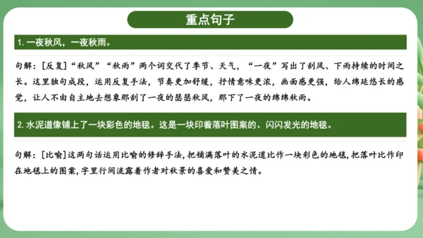 统编版2024三年级语文上册第二单元复习   课件