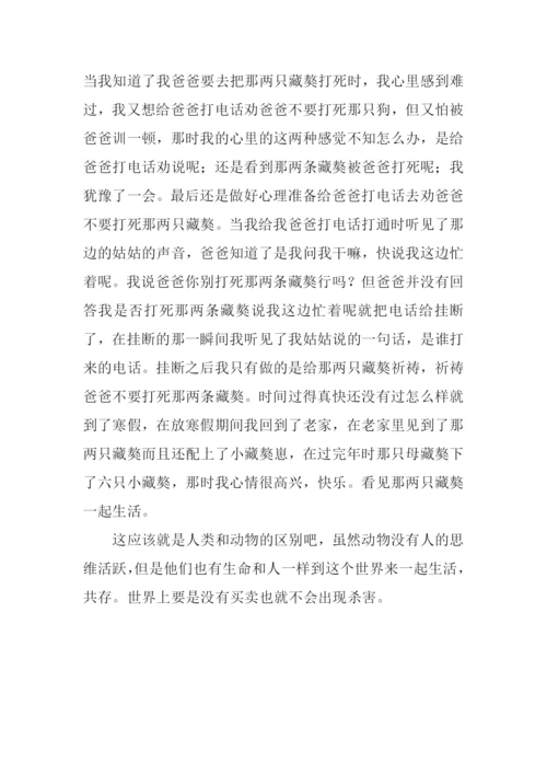 动物与人的区别作文.docx