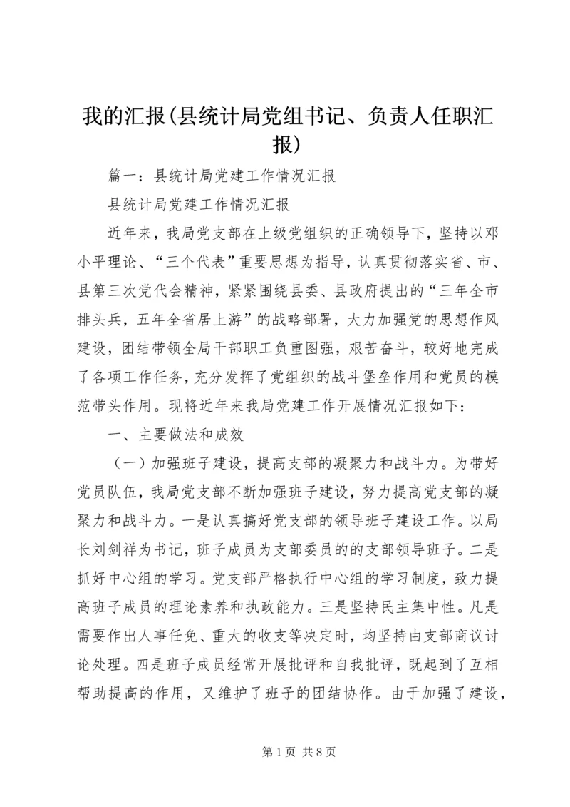 我的汇报(县统计局党组书记、负责人任职汇报).docx