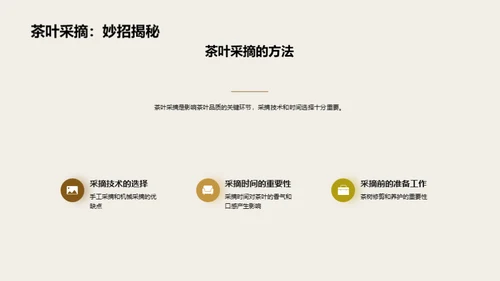 茶叶生产全链路探析