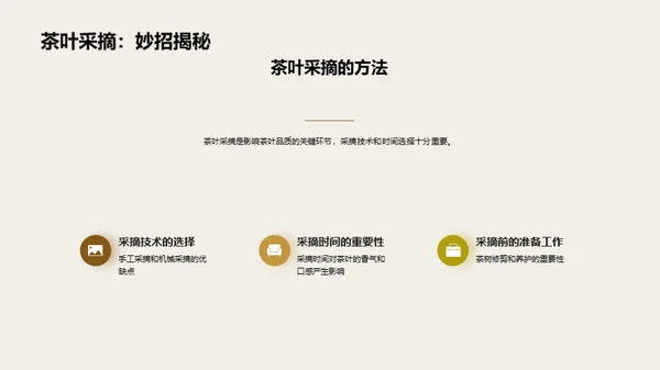 茶叶生产全链路探析