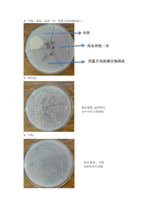 环境中微生物的检测和分离纯化.docx