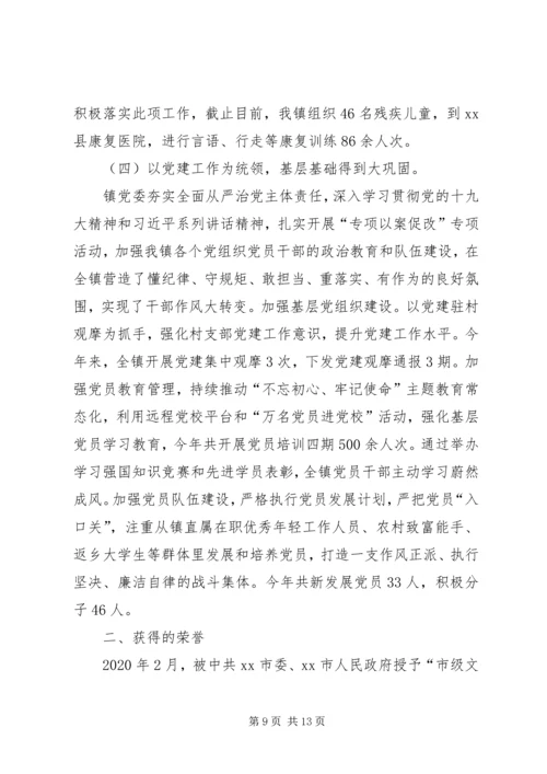 乡镇某年度工作总结.docx