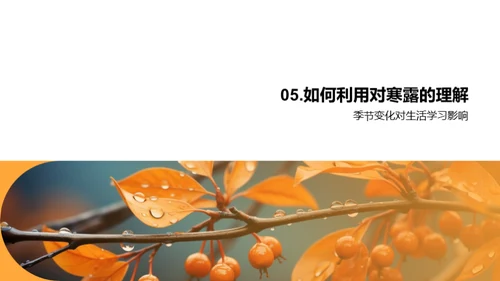 探索寒露节气