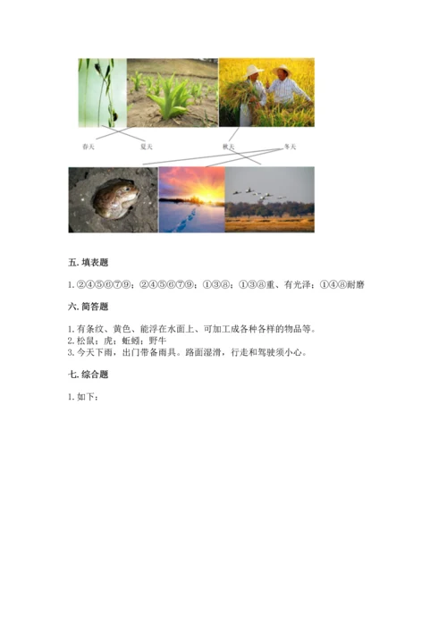 教科版二年级上册科学期末测试卷及答案【有一套】.docx