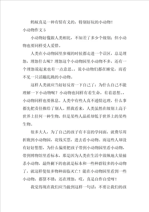 小动物作文500字11篇