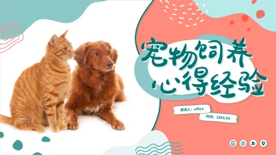 宠物店猫狗饲养心得经验分享通用PPT模板