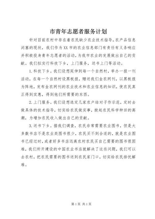 市青年志愿者服务计划.docx
