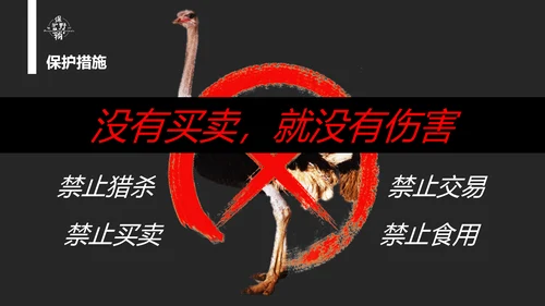 保护野生动物老虎PPT模板