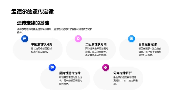 DNA与遗传解析PPT模板
