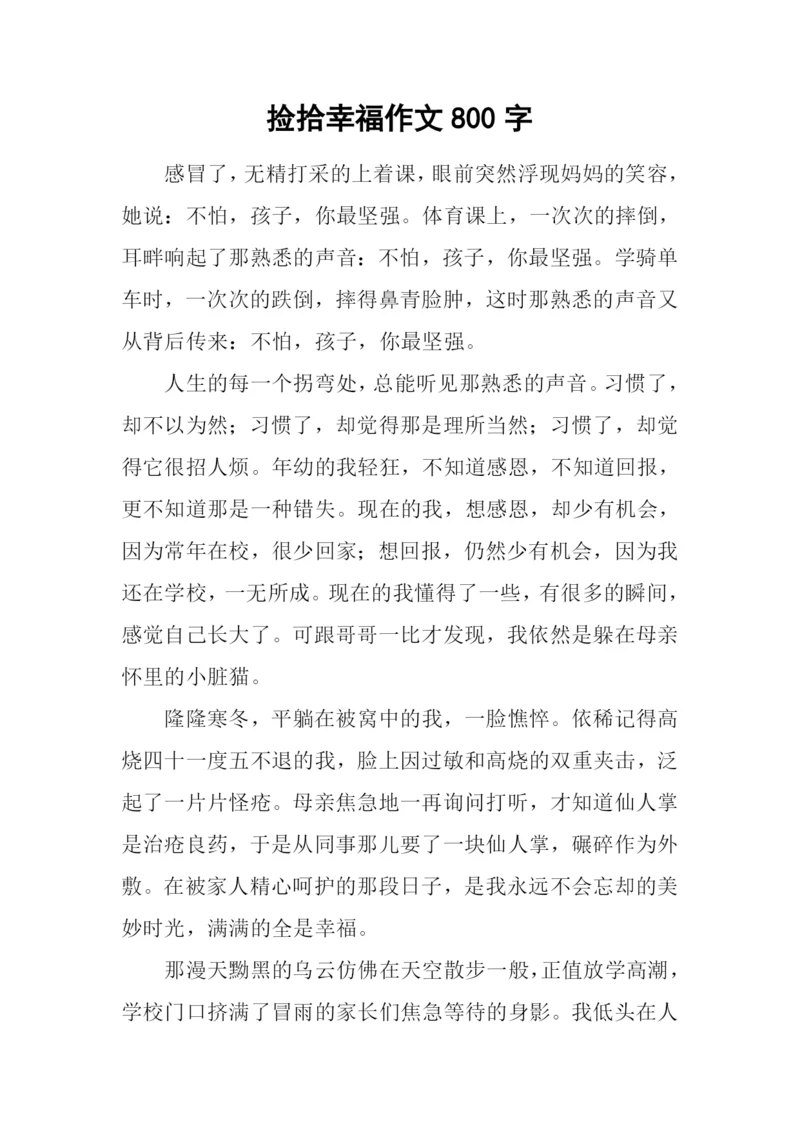 捡拾幸福作文800字-6.docx