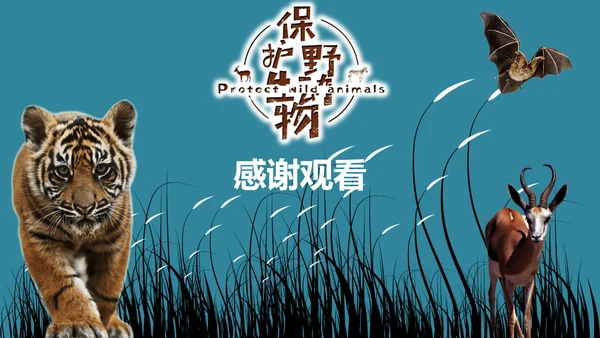 保护野生动物老虎PPT模板