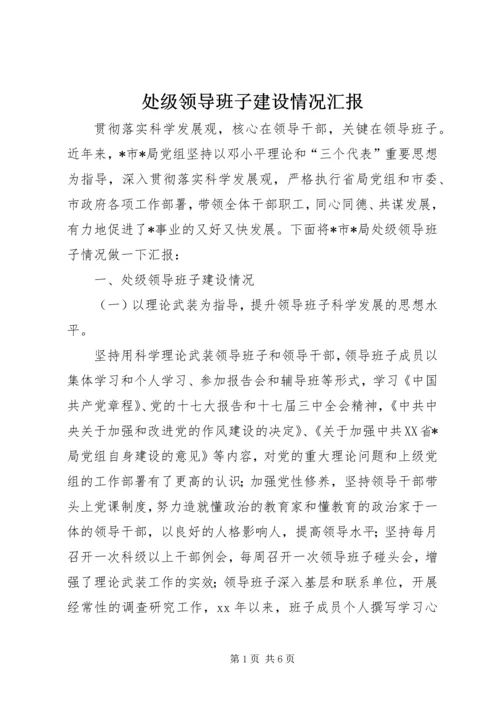 处级领导班子建设情况汇报 (2).docx