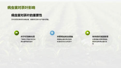 茶园病虫害科学防治
