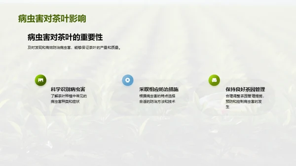 茶园病虫害科学防治