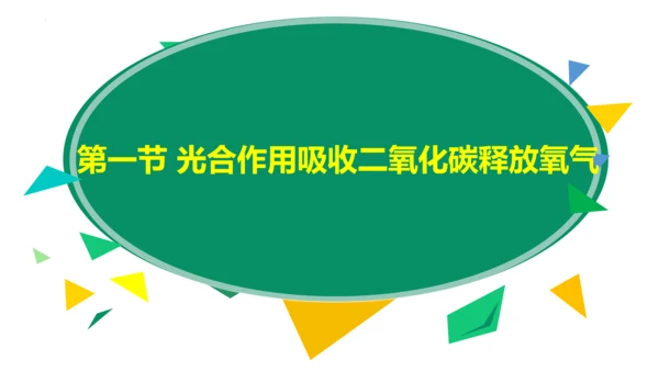 3.5.1 光合作用吸收二氧化碳释放氧气2023-2024学年七年级生物上册精品教学课件（人教版）(