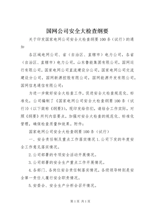 国网公司安全大检查纲要.docx