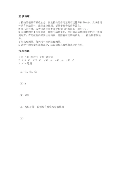 科学四年级下册第一单元植物的生长变化测试卷（典优）.docx