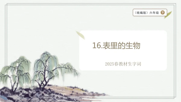 【2025春季学期教材】语文六下16.表里的生物 生字识记课件